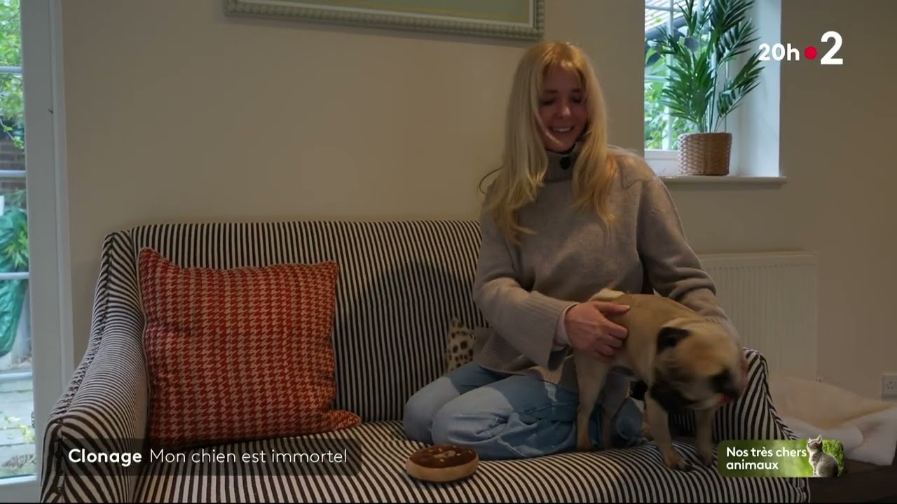 Cloner son chien, c'est possible !