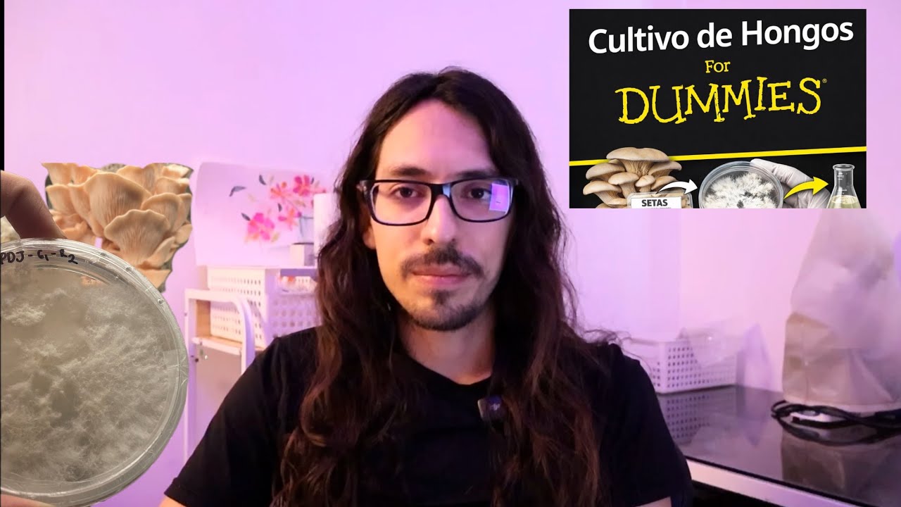 ¿Se puede clonar un hongo del supermercado? | Pleurotus ostreatus