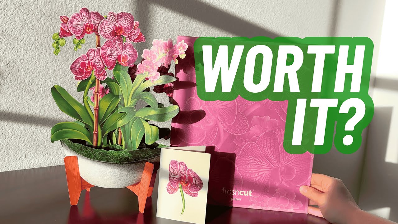 Freshcut Paper Orchid Oasis Pop-Up Card | Stunning 12