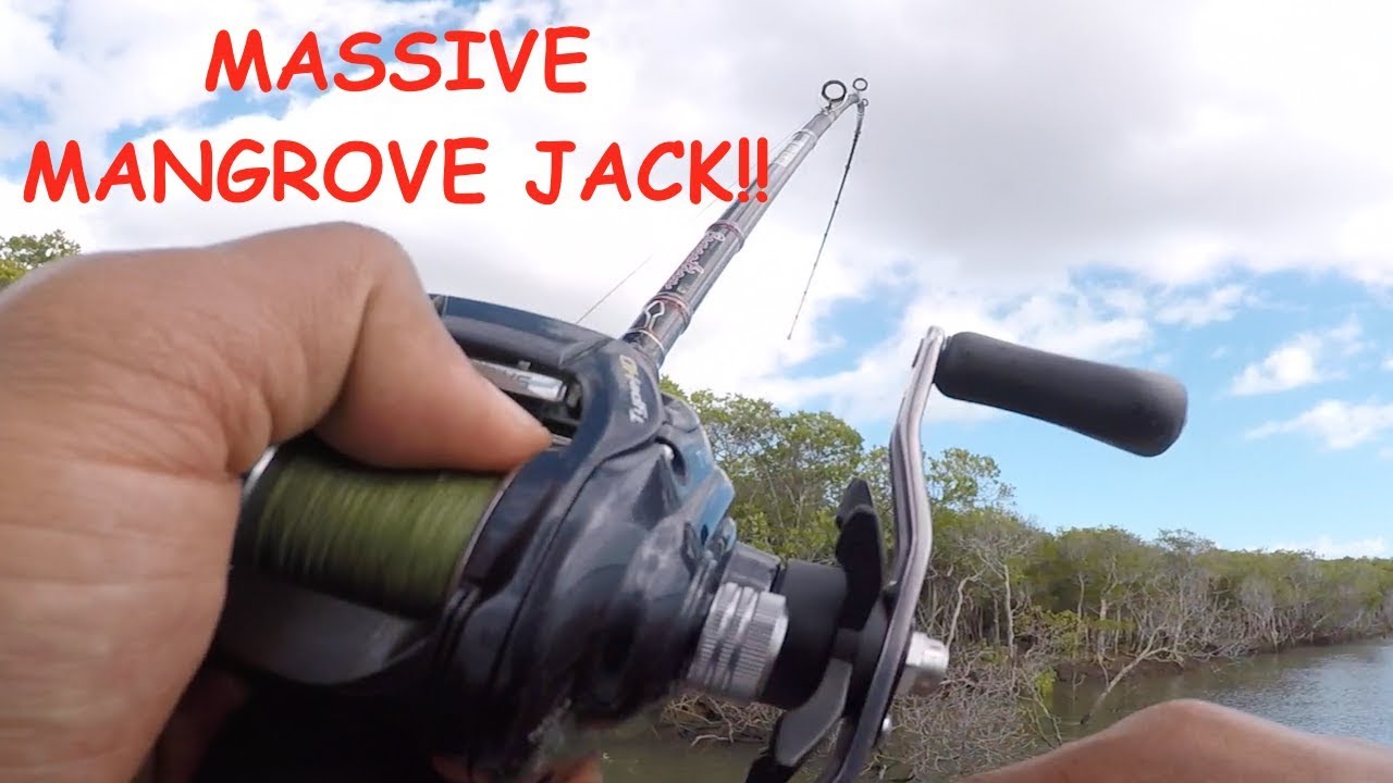 MASSIVE MANGROVE JACK- SOMETHING DIFFERENT- FISHING ON DADS BIRTHDAY!