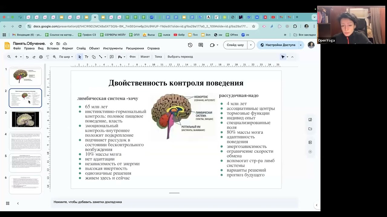 Физиология обучения. Почему так сложно учиться.