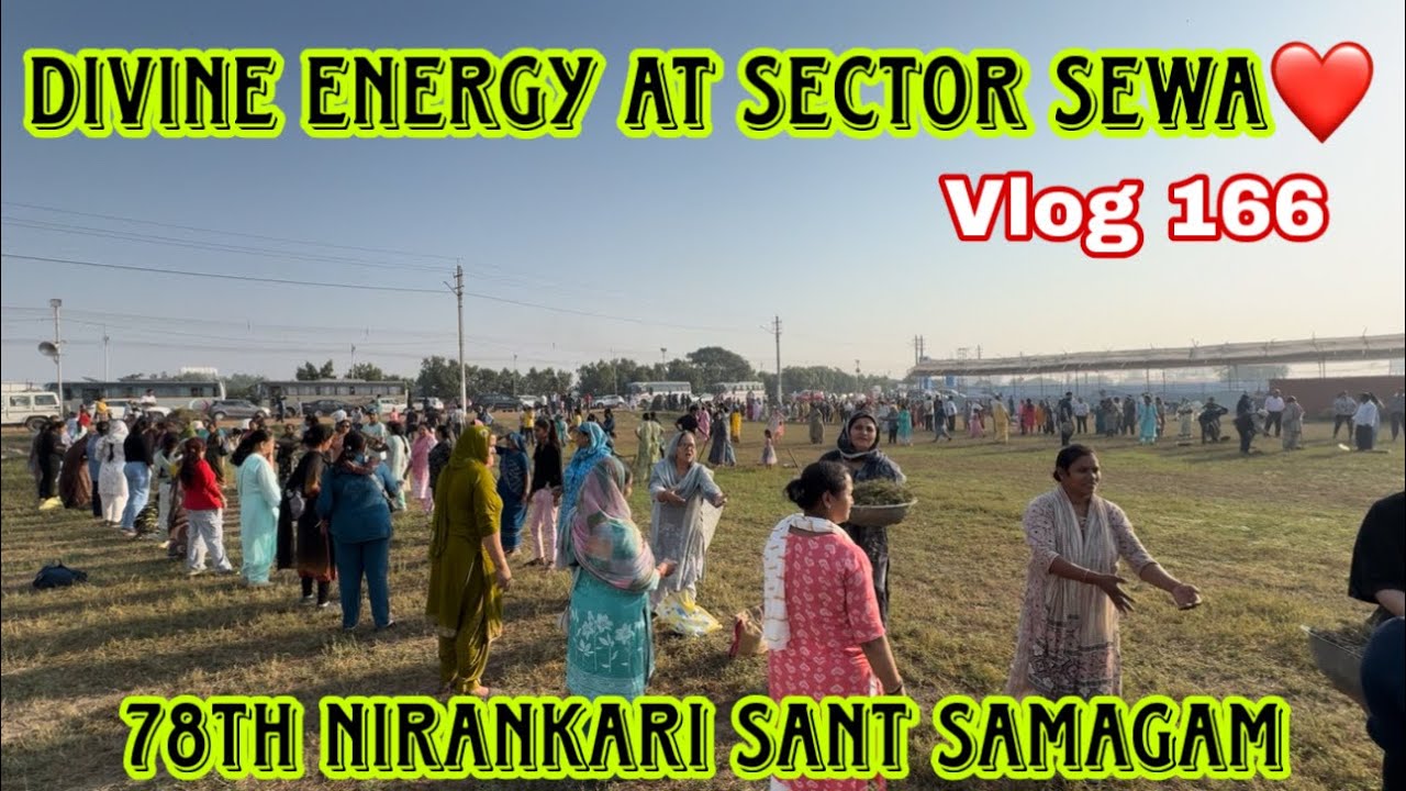 Divine Energy At Sector Sewa❤️ || 78th Nirankari Sant Samagam || vlog 166 