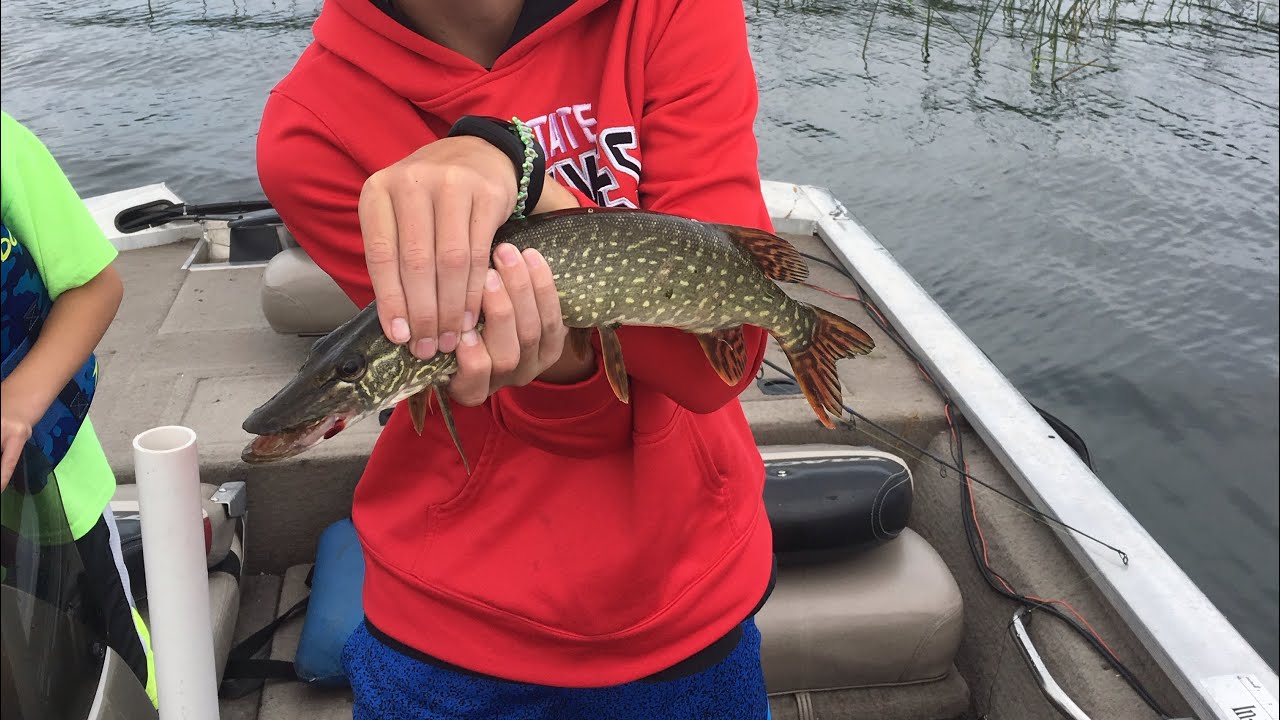 MY NEW FISHING REEL!😄🎣