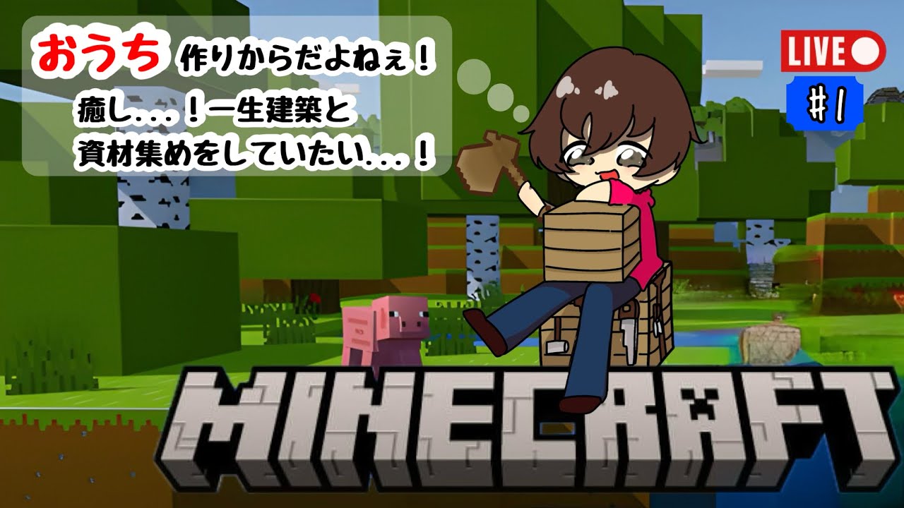 2枠目！【マインクラフト】数年ぶり！！げそクラスタートだぁぁぁぁぁ！！【ソロ:元建築勢】
