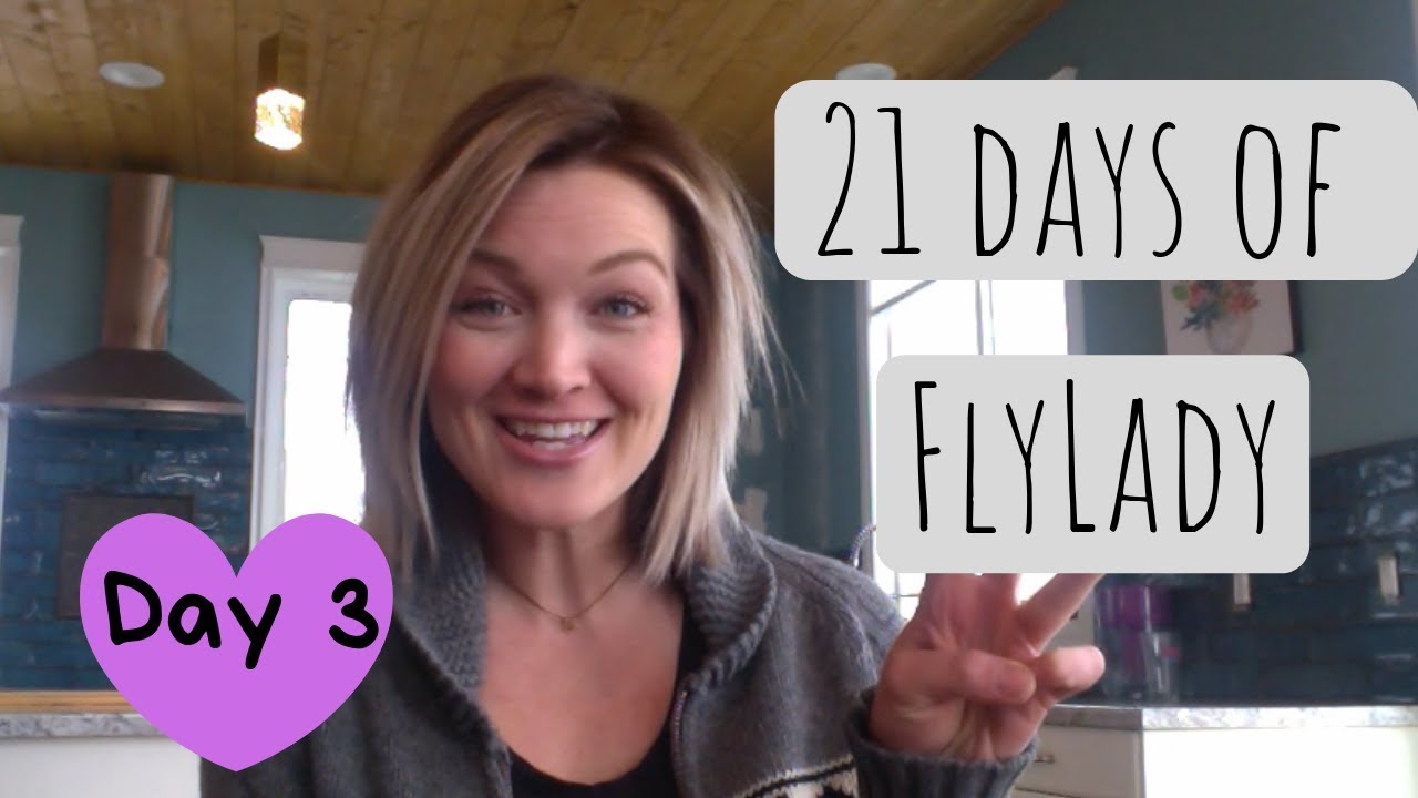 Day 3 - Put out Hot Spots | Flylady Baby Steps | Secret Slob