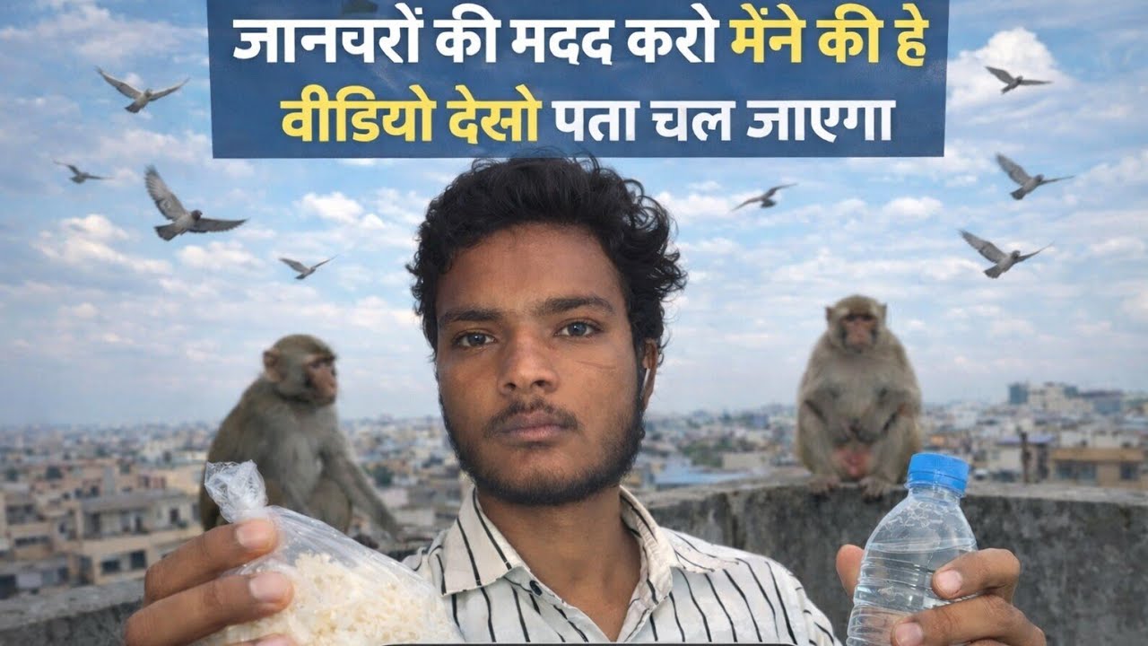 जनबरो की मदद करो उनको खाना खिलाओ....🥺🥺