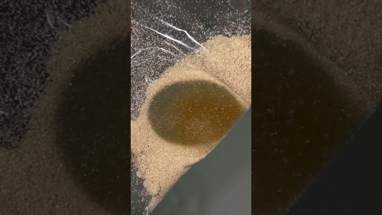 dry sift static pressed with a finger  #drysift #bluebarry #hashtag #extraction