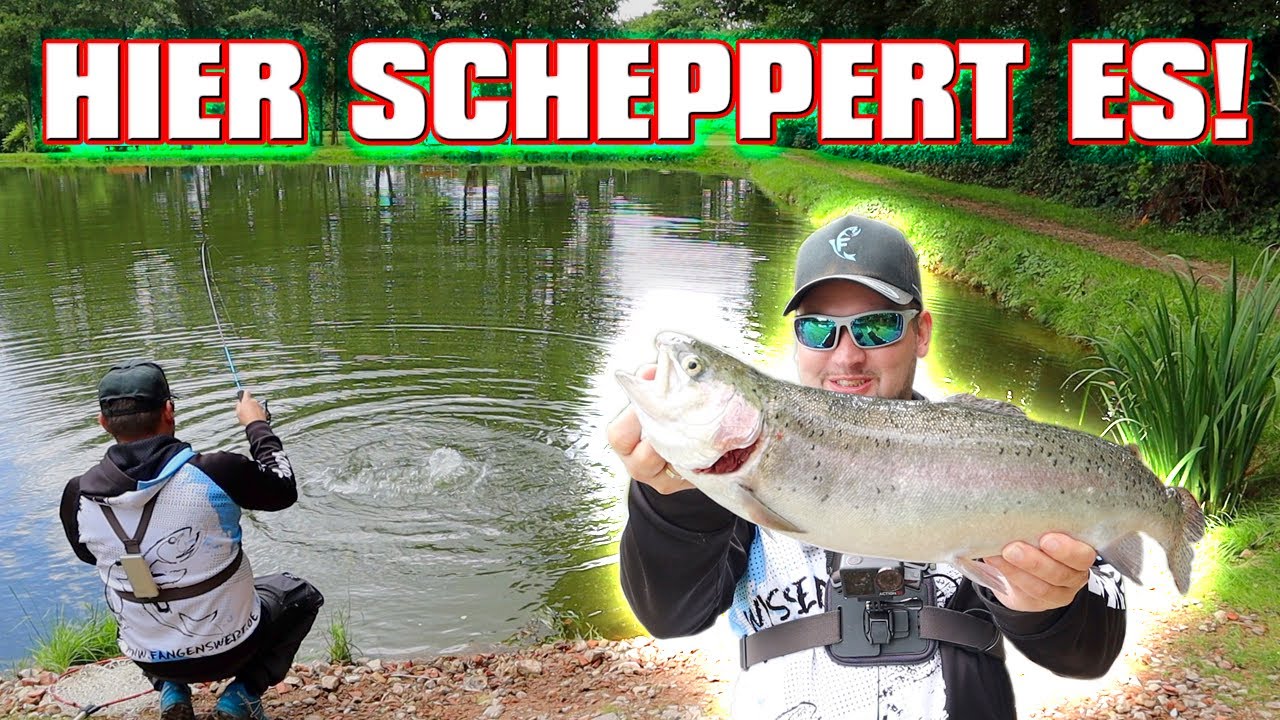 Lachsforellenangeln im Sommer | Angelpark Steinfeld