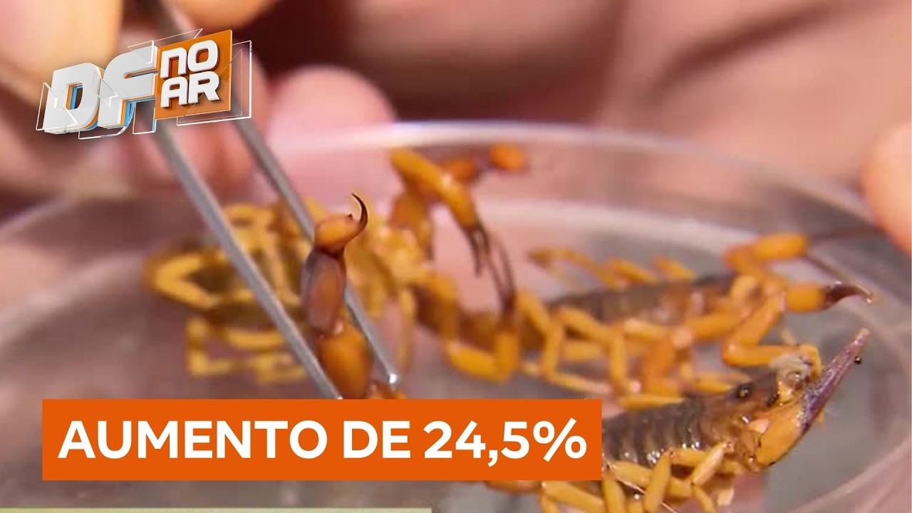 Acidentes com animais peçonhentos aumentam 24% no DF | DF no Ar
