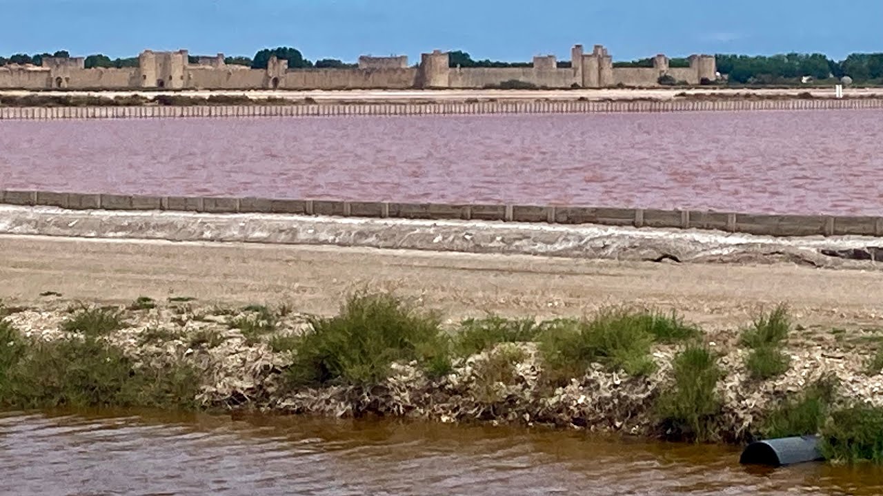 AIGUES-MORTES & LES SALINS du MIDI