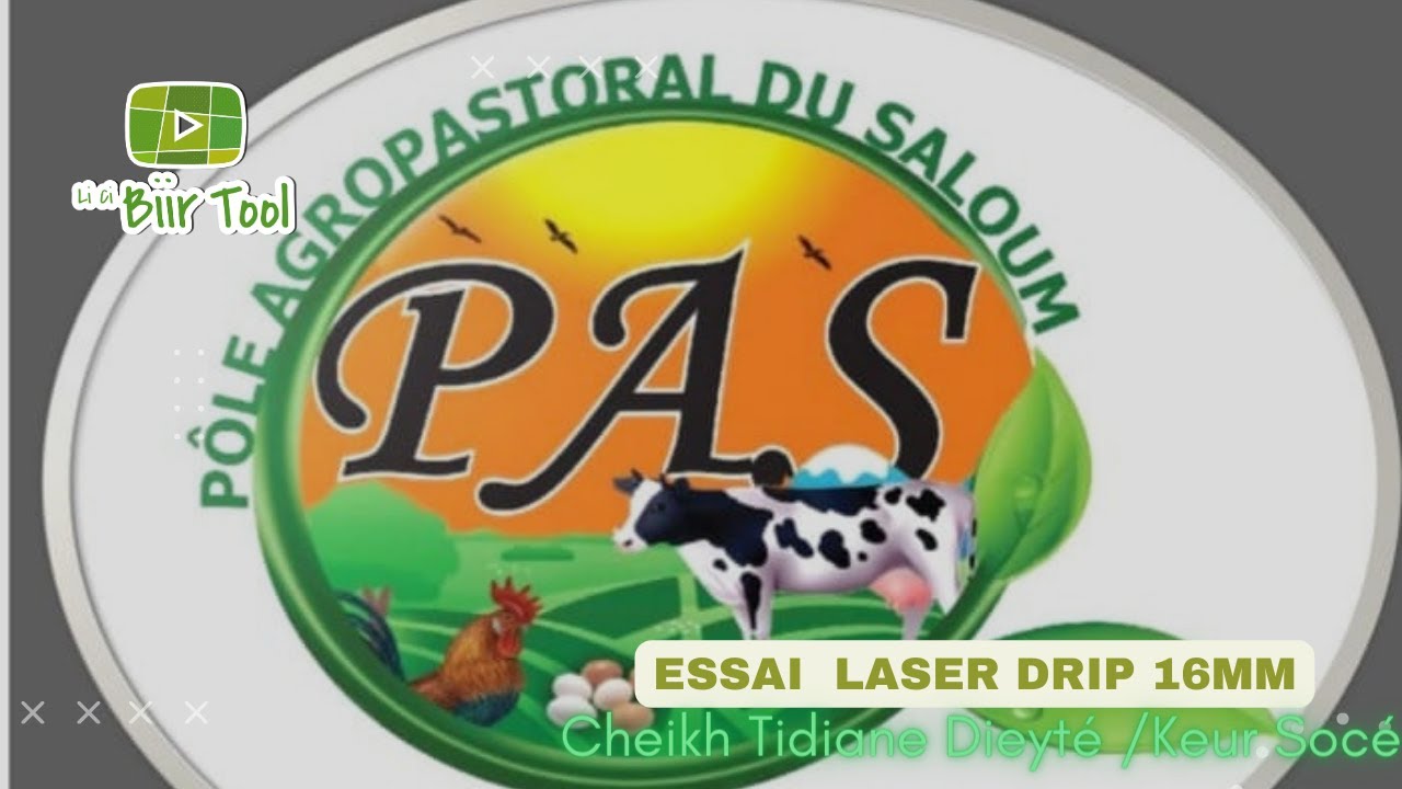 LICIBITool /  C. Tidiane Dieyté ak laser drip cà Keur socé
