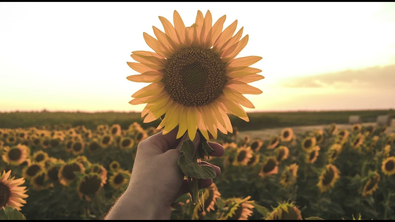 Thom Yorke - Bloom (Nicolas Parrado Remix)