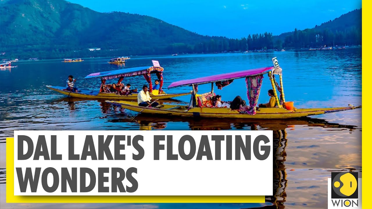 Kashmir Connect: Dal Lake's floating wonders