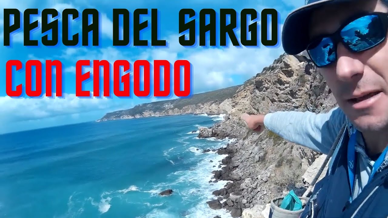 ✅PESCA del SARGO con ENGODO🎣