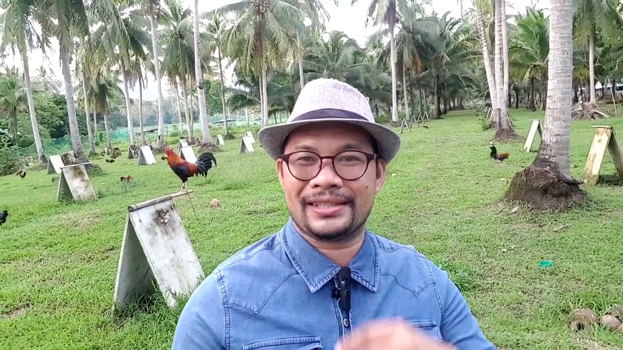 Ano ang kailangang Foundation Line sa Breeding