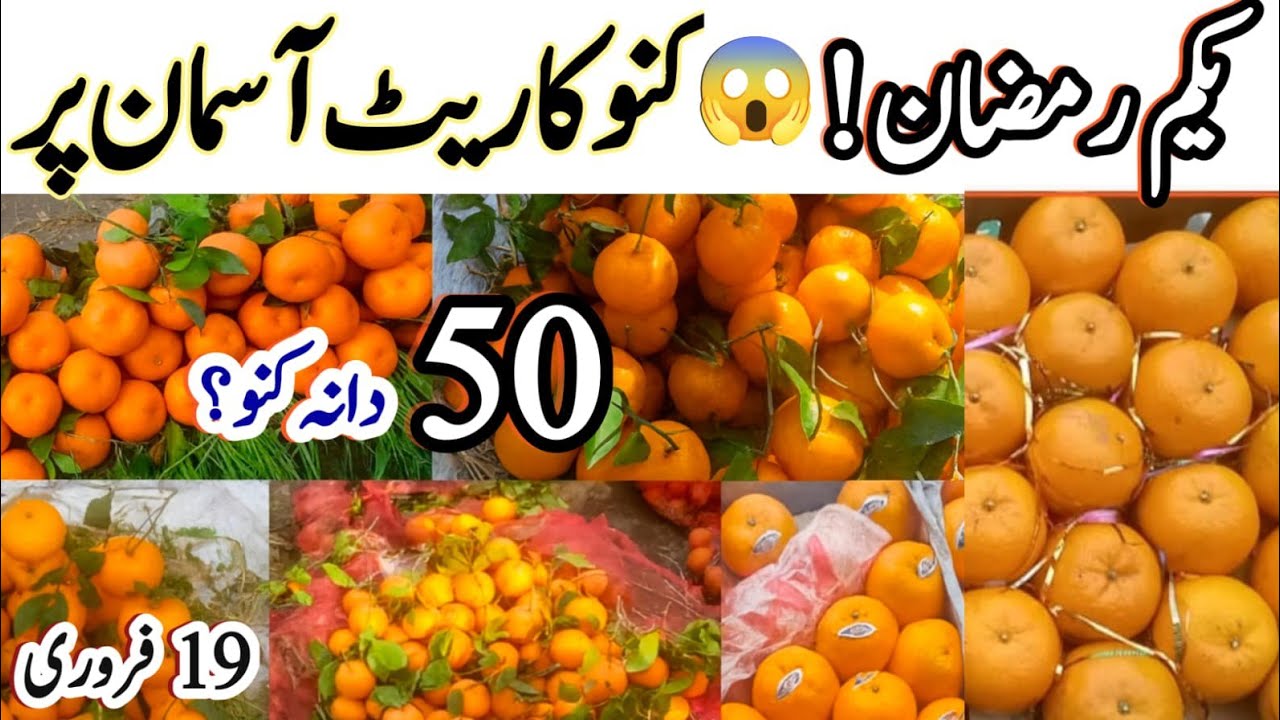 “1st Ramadan Kinnow Rate Shocking 😱 | 50 Rupees Dana? | 19 February Market Update”