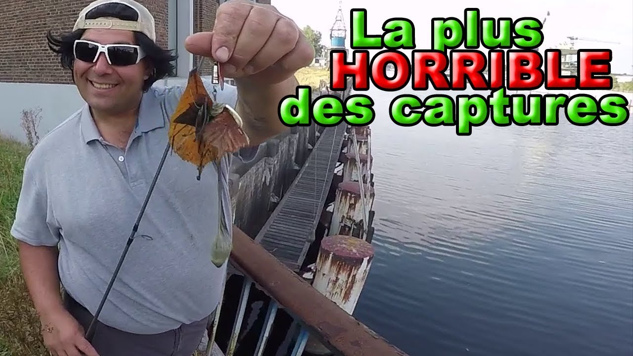 STREETFISHING GENT - UNE PRISE INSOLITE en compétition