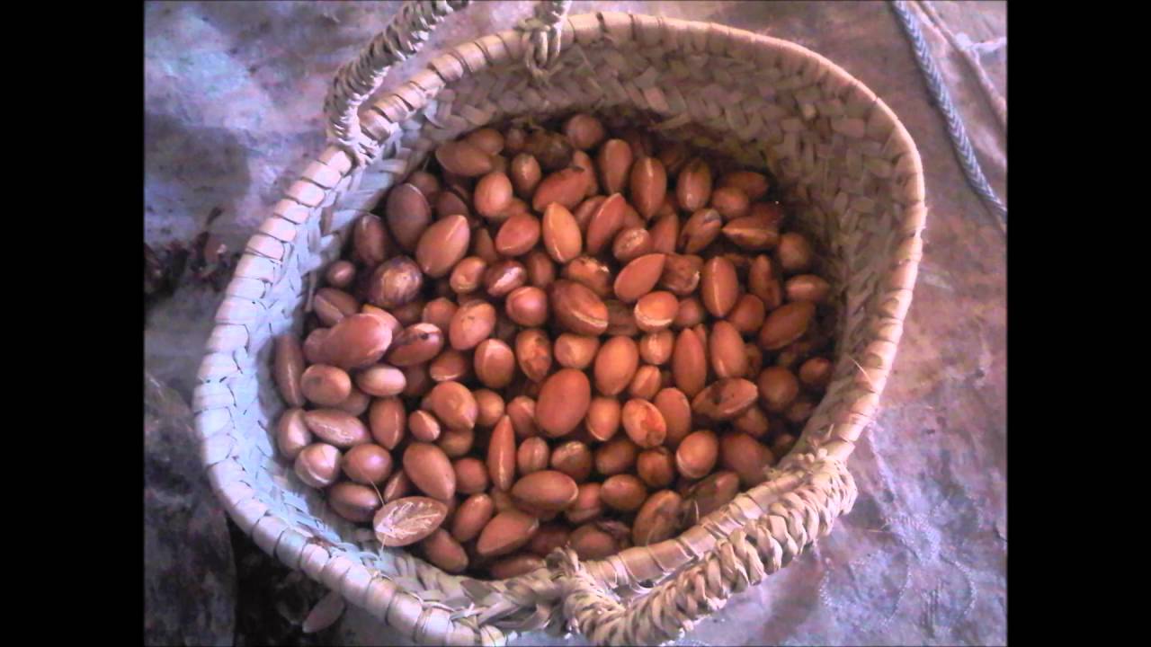 FABRICATION DE L'HUILE D'ARGAN 100% NATURELLE
