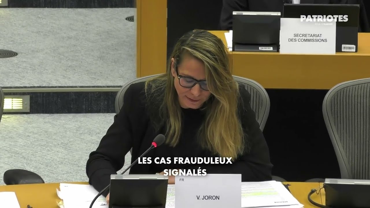 FRAUDES & FAUSSES ONG de la Commission !