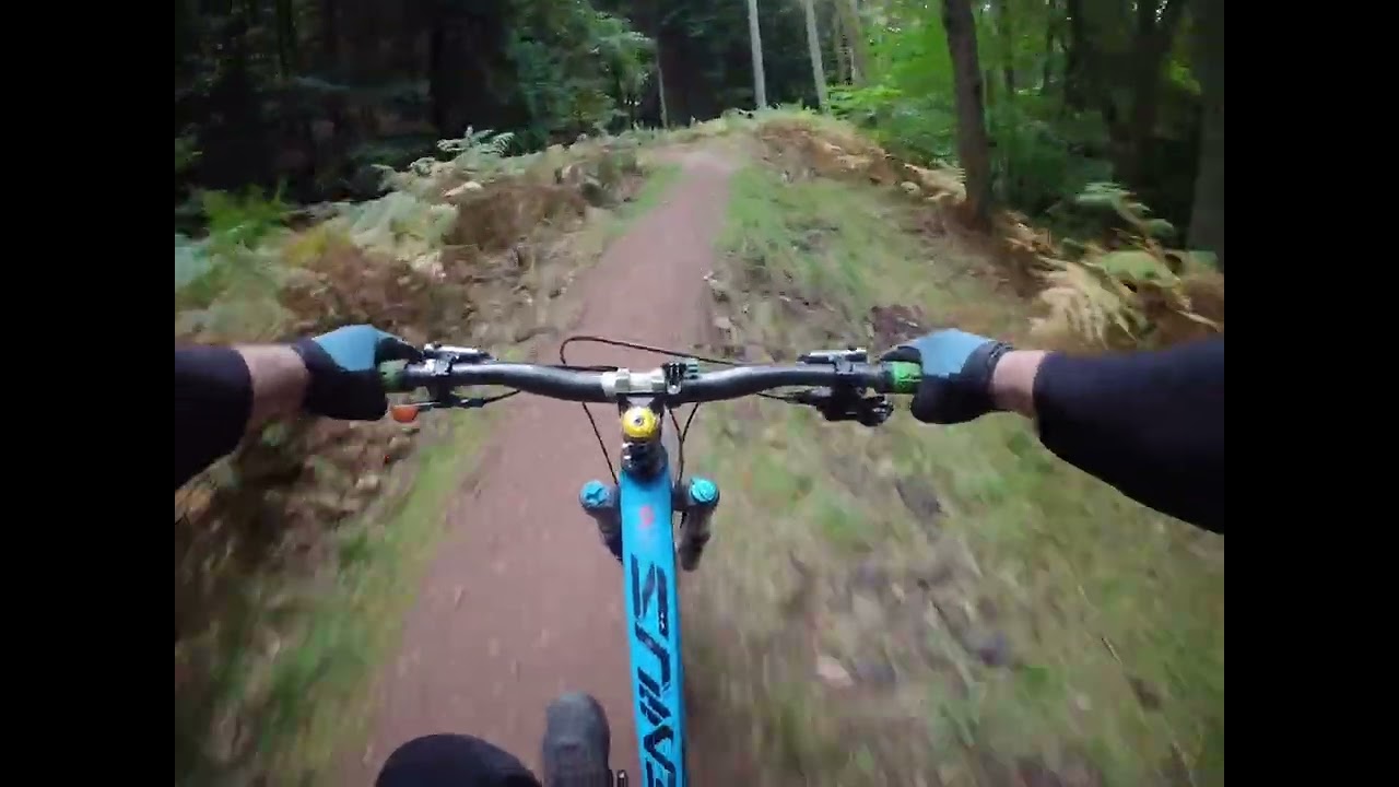 Forest of Dean ￼MTB