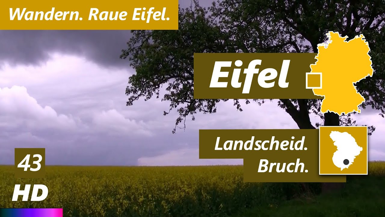 Eifel | Landscheid - Bruch | Wandertour | Eifelsteig | Schmitzlinden