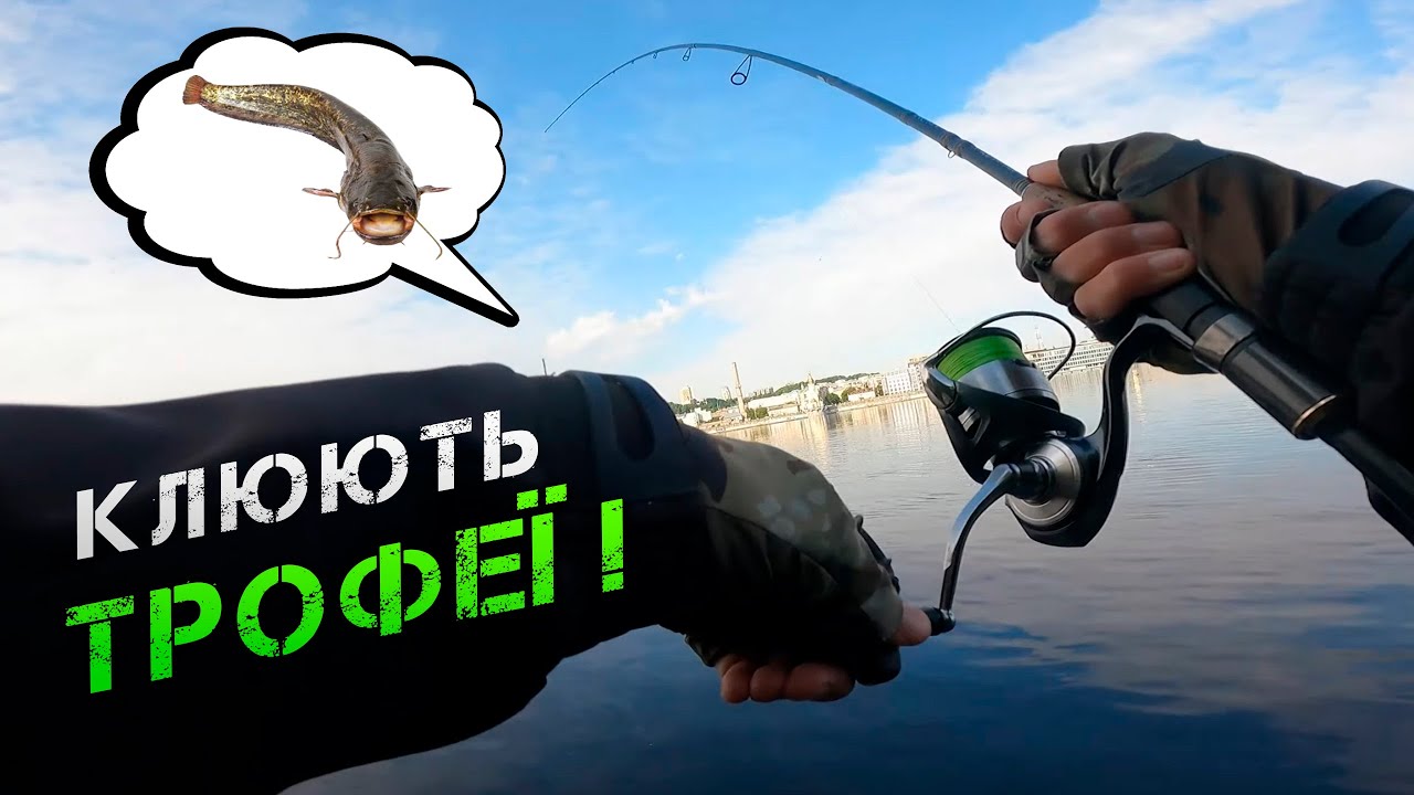 ✅КЛЮЮТЬ ТРОФЕЙНІ РИБИ! СОМ, ЖЕРЕХ, СУДАК, ЩУКА НА ДНІПРІ✅