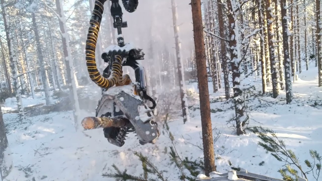 Ojalinja harvennusta|Ponsse Scorpion King