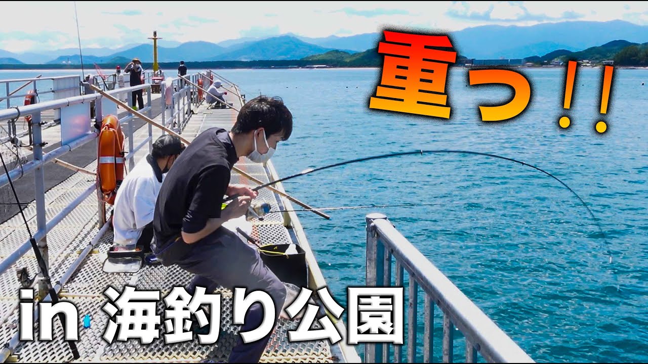 【糸島釣り】【海釣り公園】なかなか無いケースに遭遇！？まさかの釣果！！