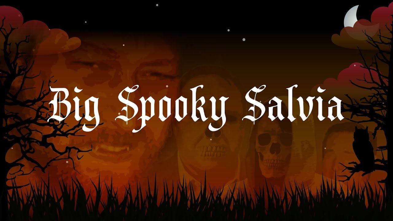 Hot Dad - Big Spooky Salvia