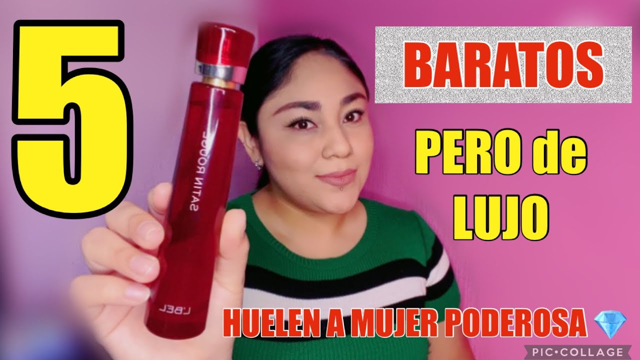 5 PERFUMES BARATOS QUE HUELEN A CARO‼️ 💰 DEBES CONOCER