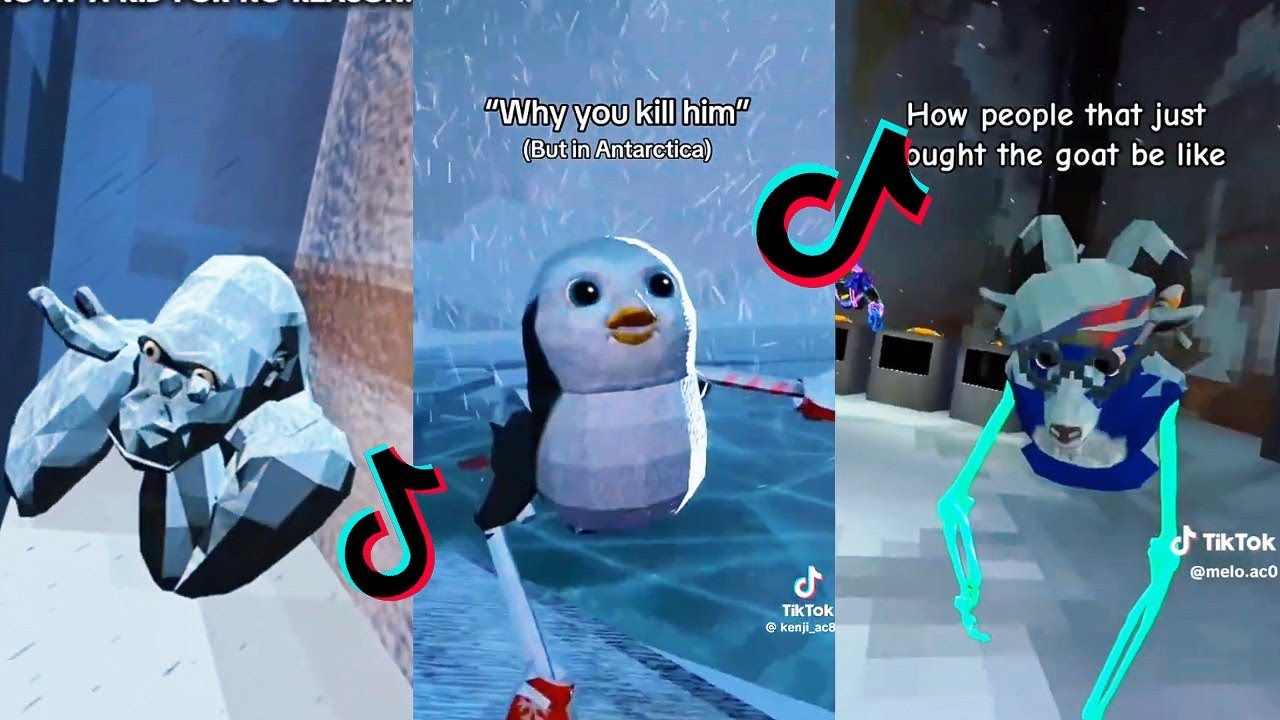 The Best Memes of Animal Company! 2026 TikTok Compilation