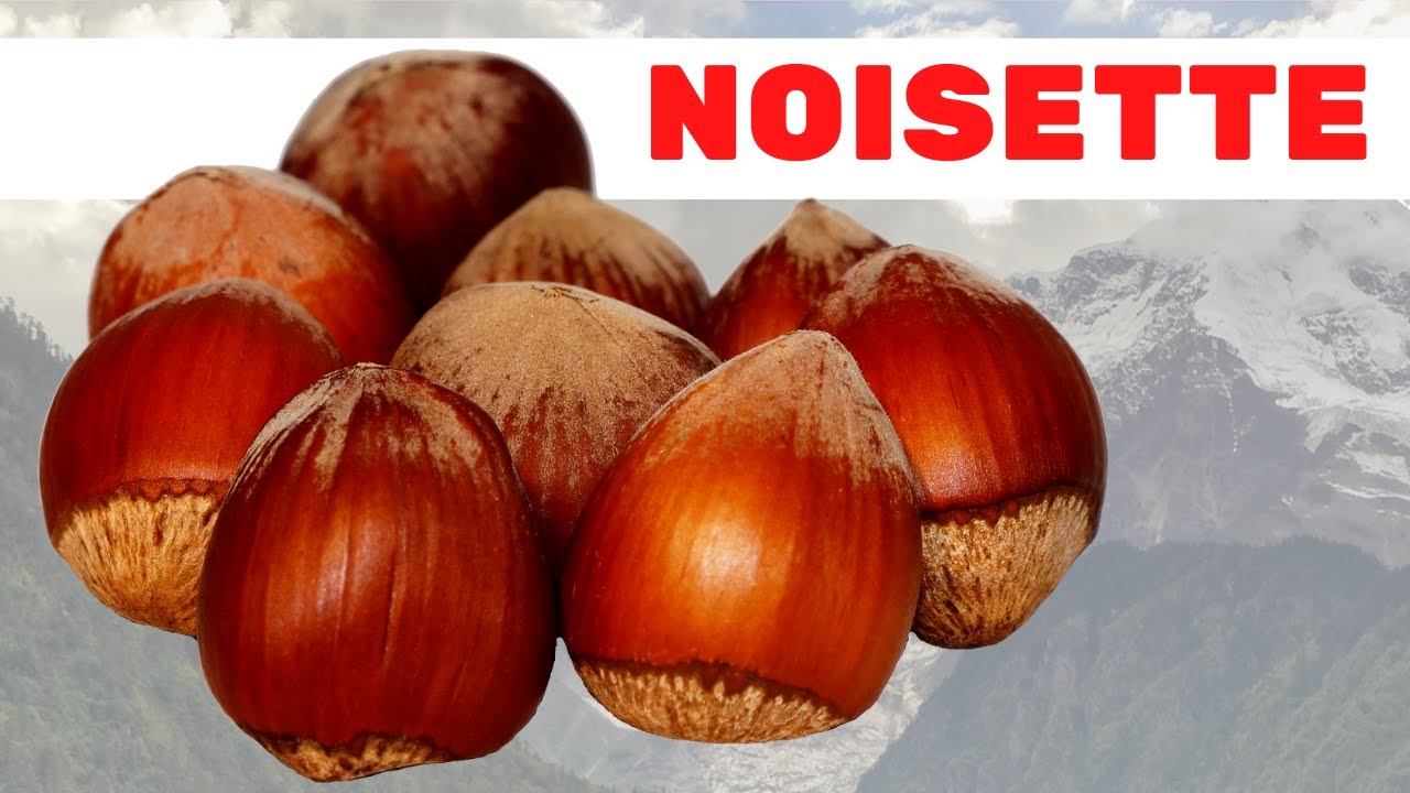 Manger 1 poign&eacute;e de noisettes par jour fait cela &agrave; votre corps