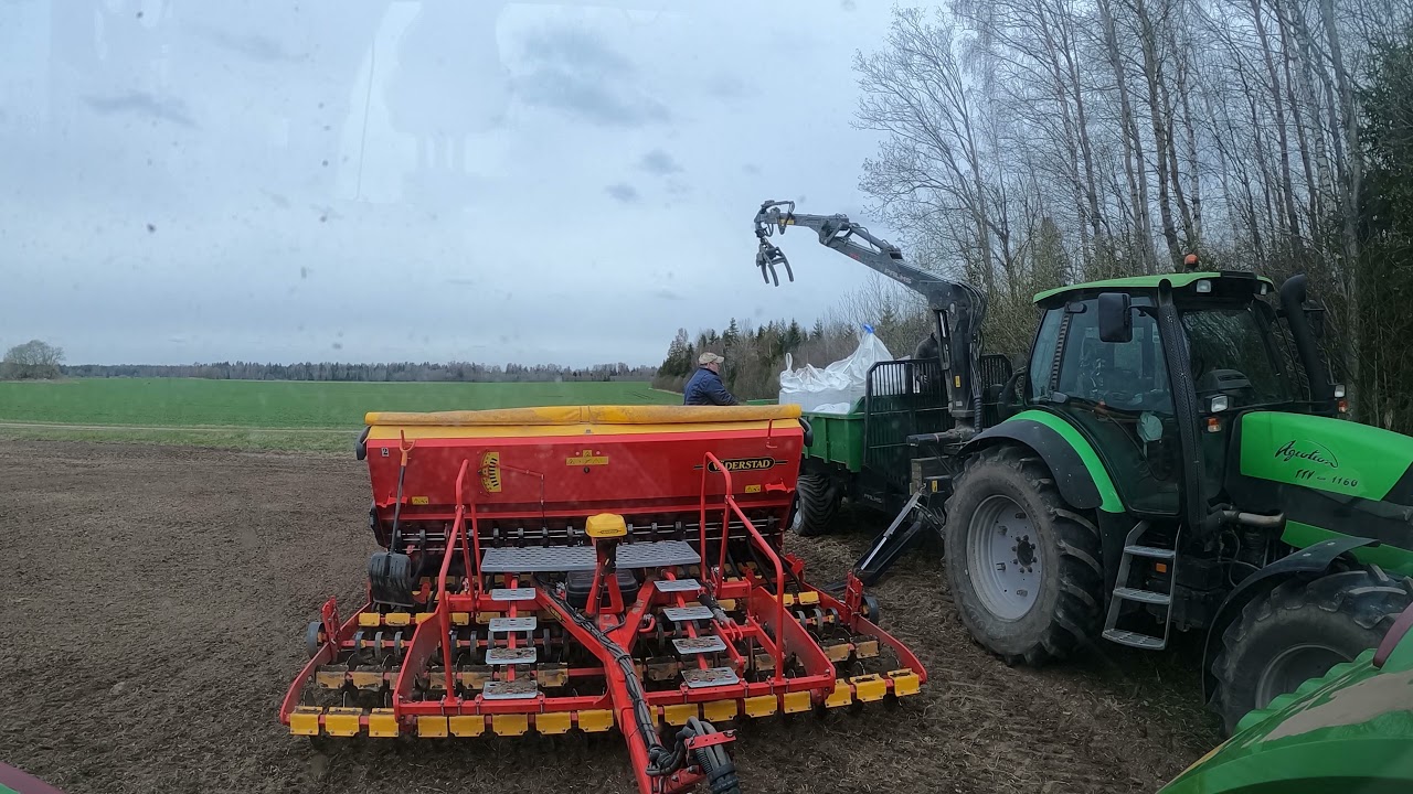 Seeding caraway and beans with Väderstad Rapid