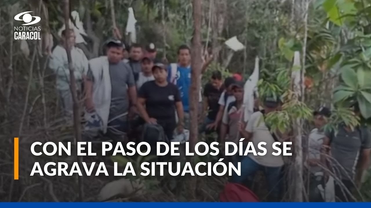 Tragedia humanitaria en el Catatumbo: 12.000 personas están confinadas bajo amenazas de muerte