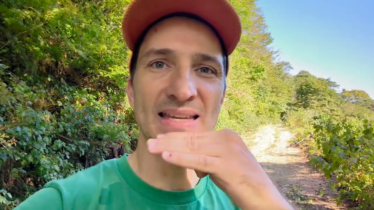 Whistle loudly using only your mouth, and not your hands.