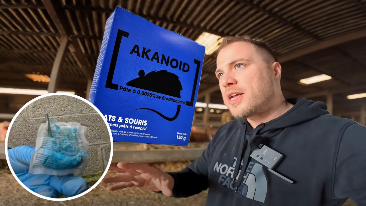 Le raticide AKANOID vient à bout des rats | Épisode 6 & fin