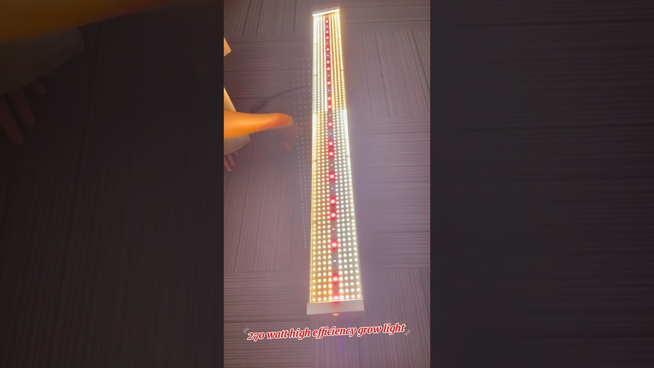 LM301H EVO 3000K and5000K MIXRED 660NM IR730NM UV395NM #agriculture #b2b#grow light #factory