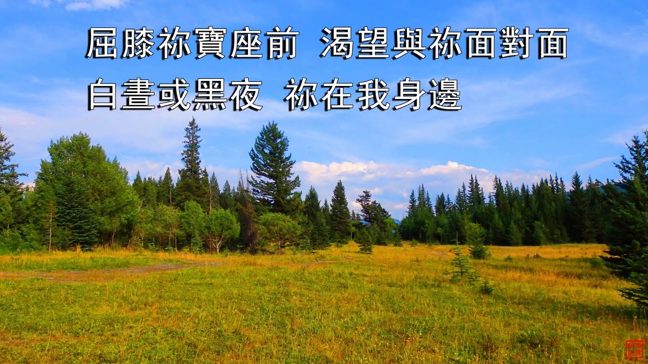 上好的福分 | 小羊詩歌《我願意》專輯