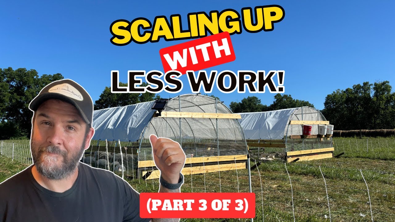 Финал: наше путешествие по мобильному курятнику (часть 3)