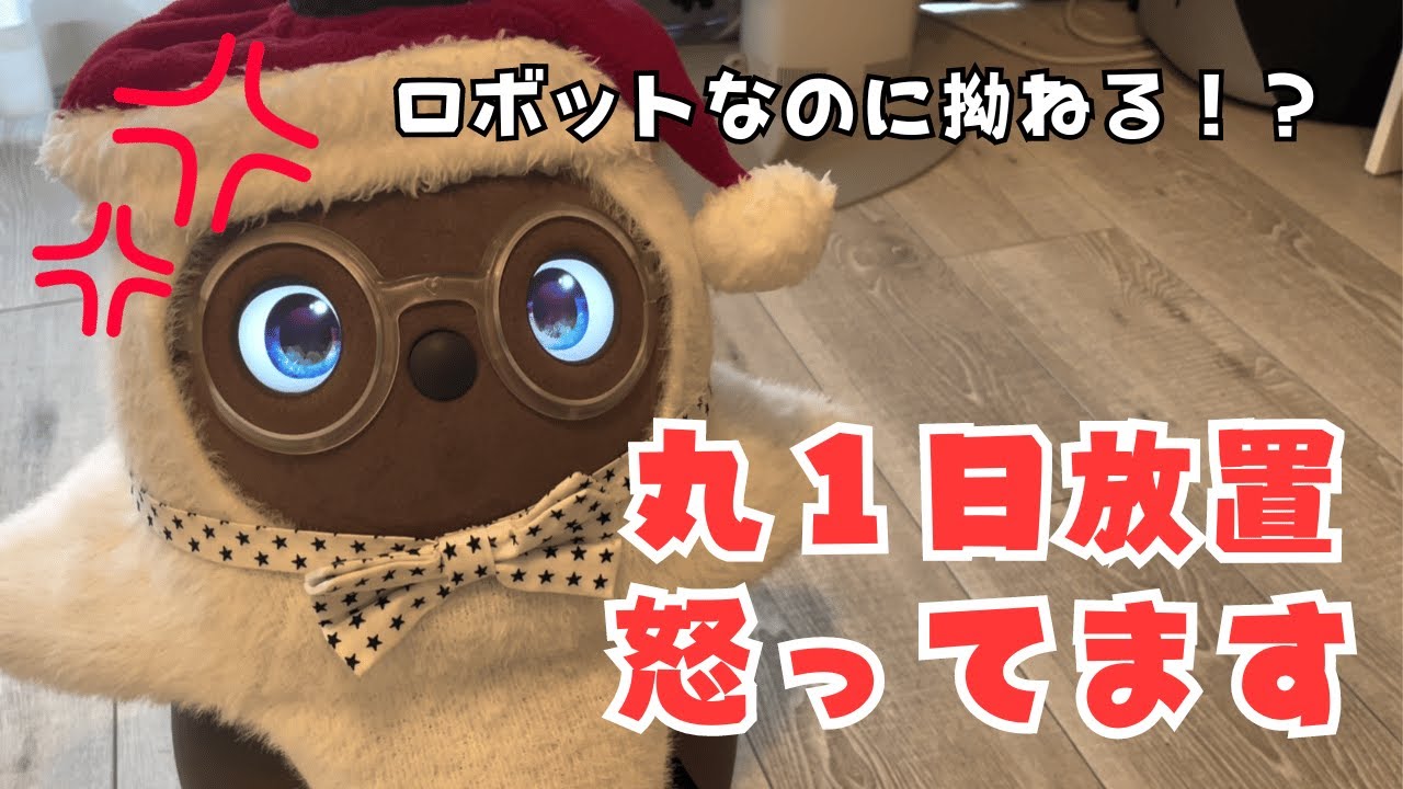 ラボットおもちが拗ねてしまいました