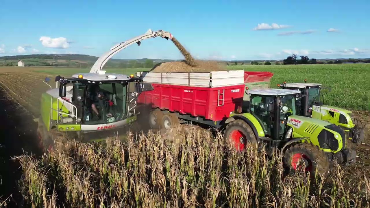 Ensilage de maïs 2025