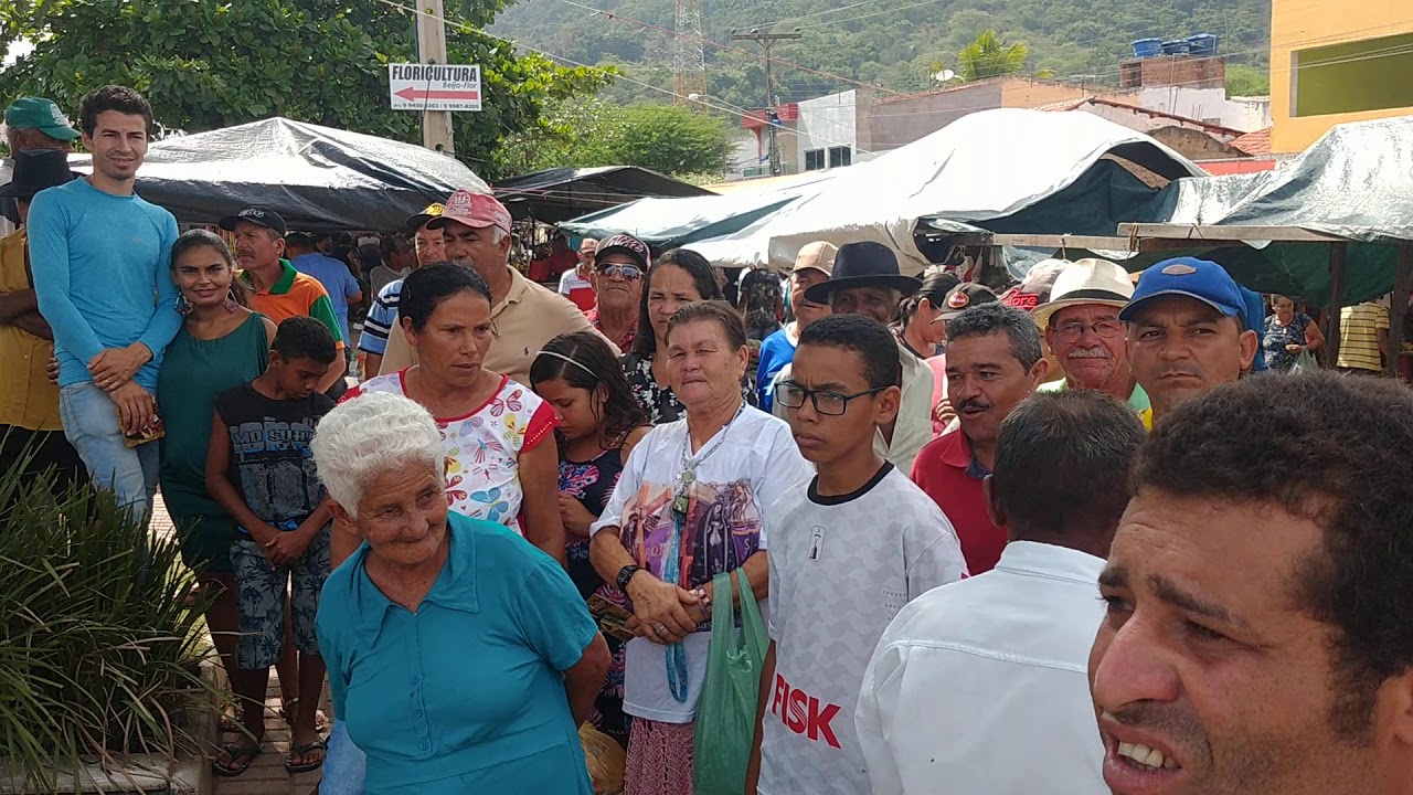 GENILZA DO ACORDEON- baile da tartaruga_ Zé Gonzaga