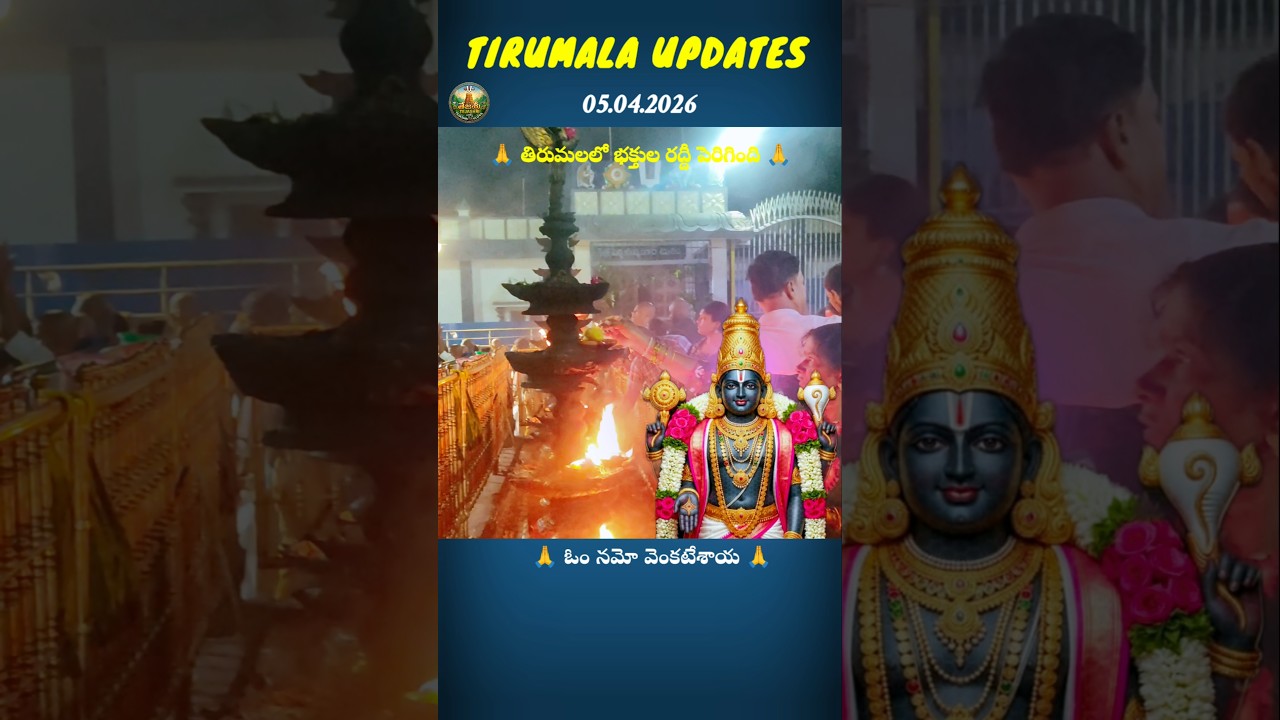 Tirumala daily darshan updates 05.04.2026 🔔Tirumala updates | Tirumala Temple #tirumala #balaji