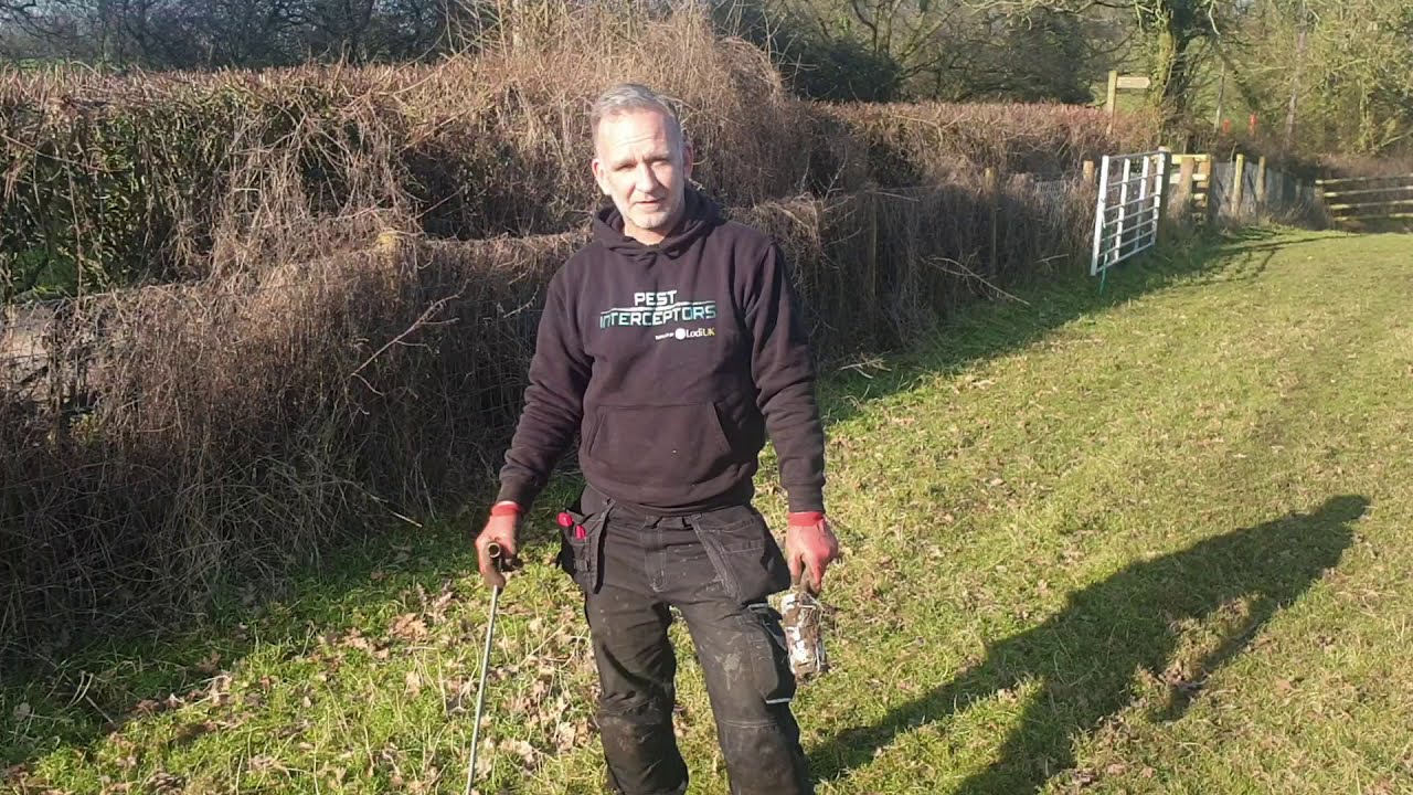 How to set a mole duffus tunnel trap, demonstrated by a duffus!