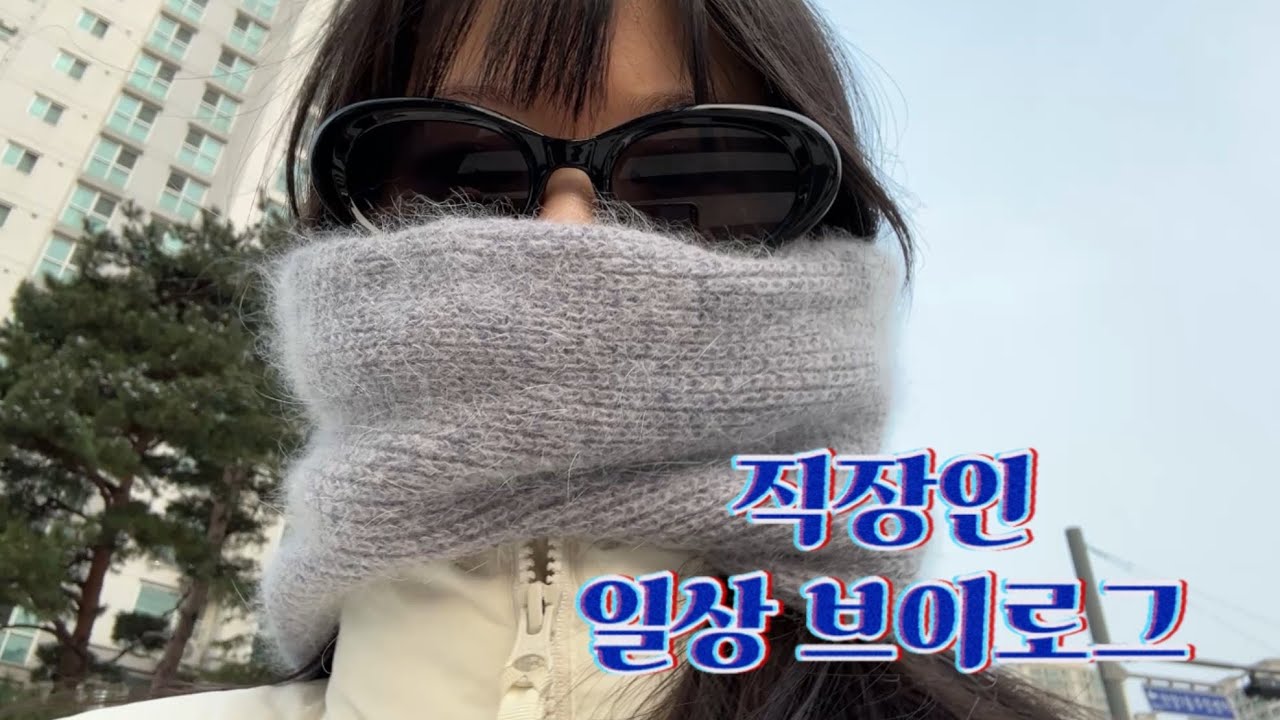 5인미만 회사에서 살아남기 | 29살, 직장인 일상 브이로그