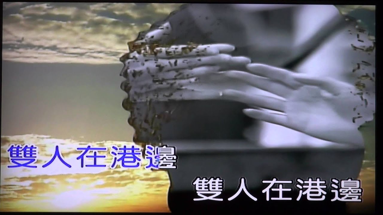 蔡小虎  惜別夜港邊
