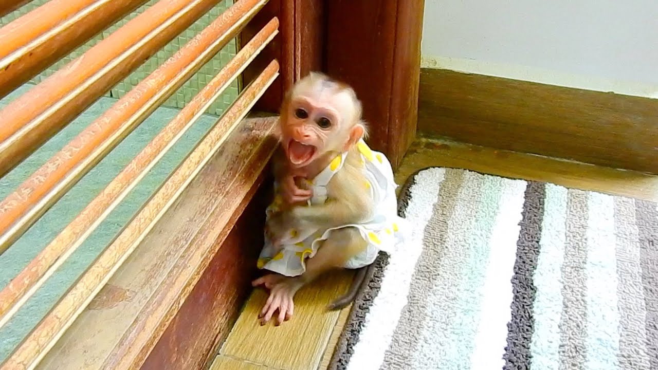 Poor JULIE Sad To Wait Dad In Rest Room.