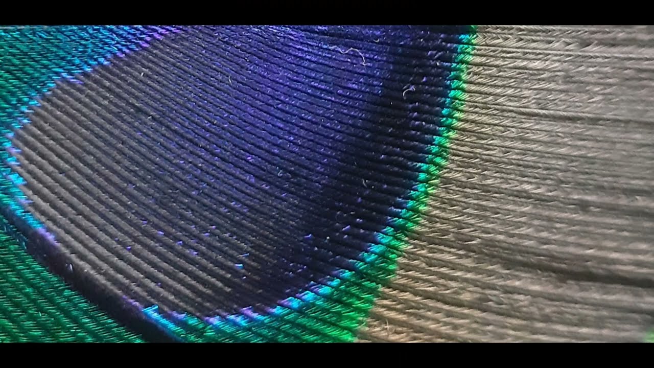 The Eye of the Peacock - Sacred Poetry