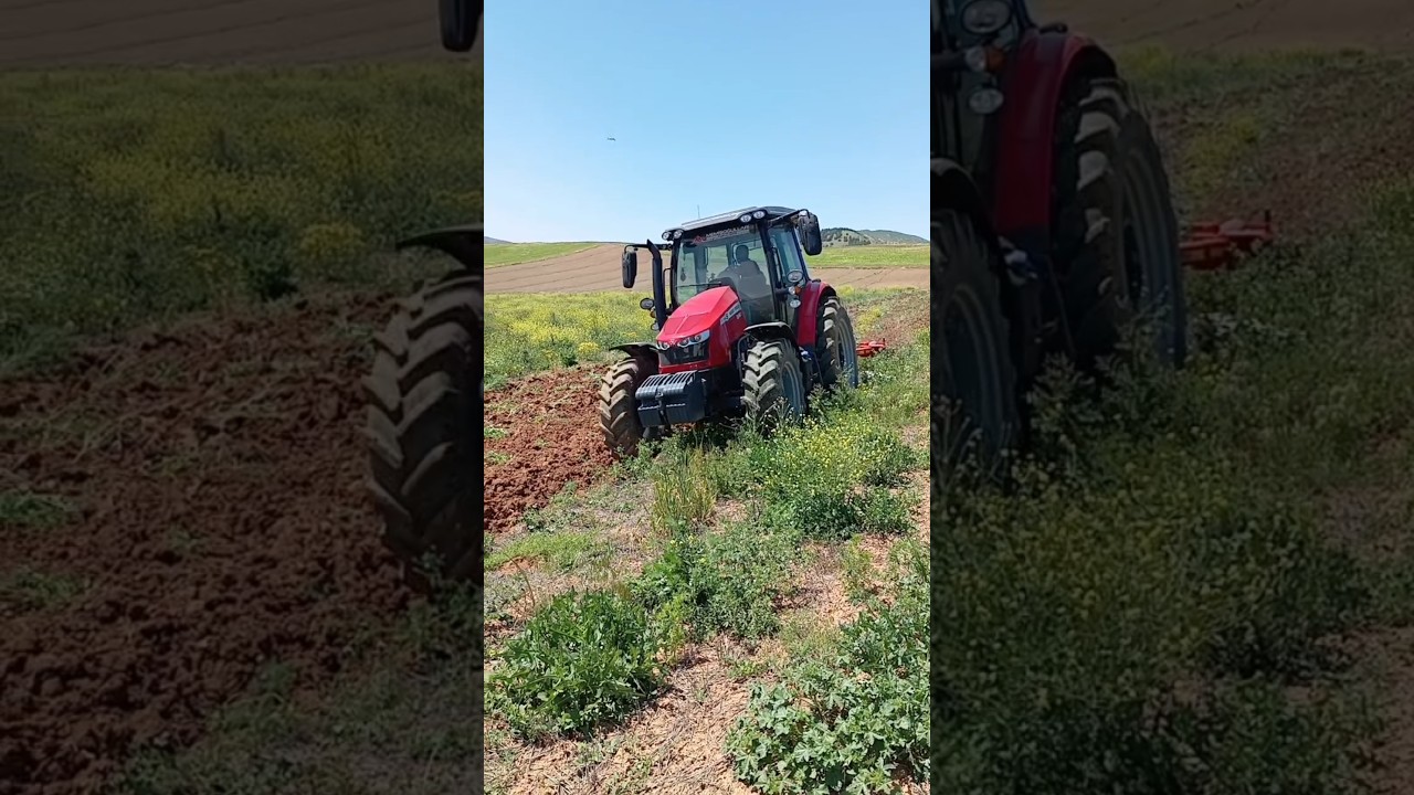 #mf5709s#MasseyFerguson#&ccedil;ift#pulluk#&uuml;nl&uuml;#yaylı#yaylıpulluk#keşfet