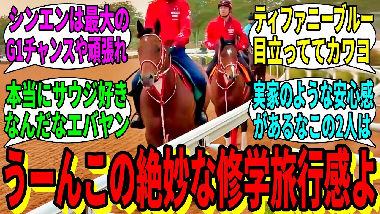 【競馬の反応集】「サウジ遠征組の向こうでの様子がこちら」に対する視聴者の反応集